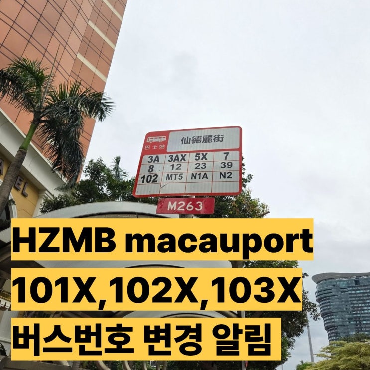 HZMB macauport에서 마카오반도, 타이파 지역가는 노선버스들 101X, 102X, 103X 버스번호 변경알림 : 네이버 블로그