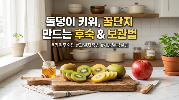 키위 보관법, 후숙부터 냉장 보관까지 달콤하게 먹는 꿀팁 총정리