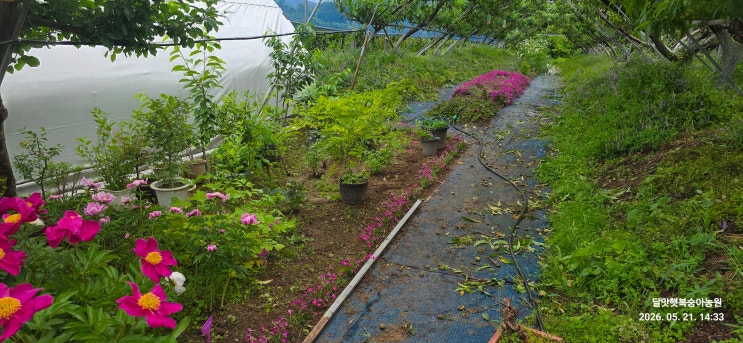 링크 미리보기