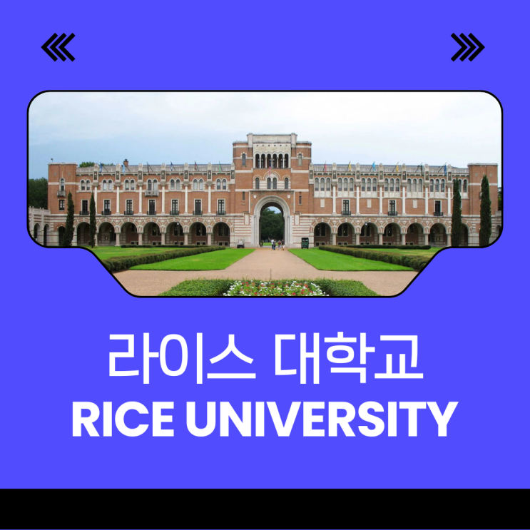 라이스 대학교(Rice University) 합격률, SAT 점수 컷, 장학금 조건 총정리 : 네이버 블로그