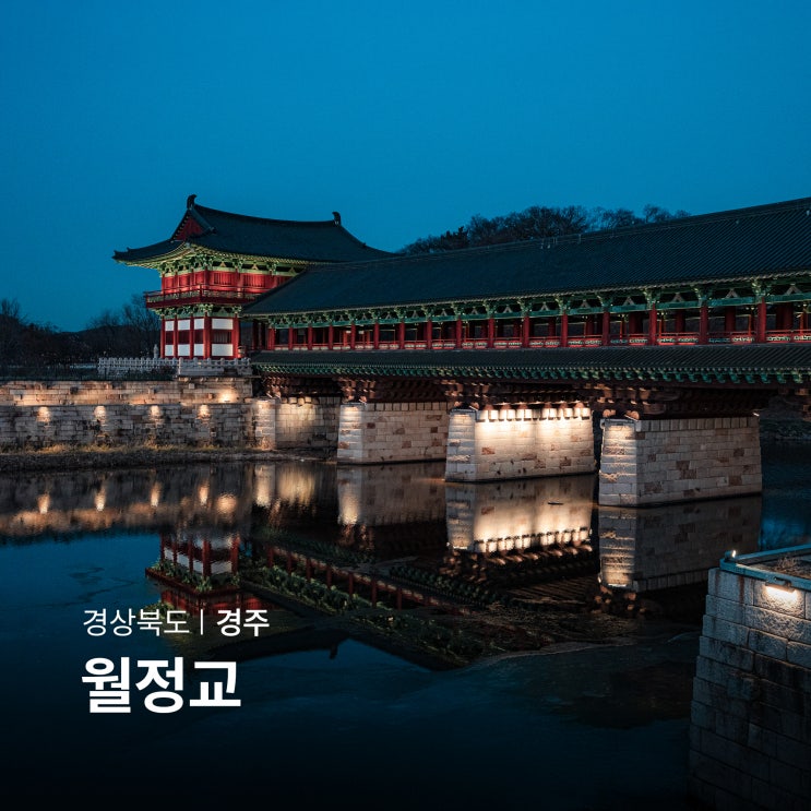 경주 월정교 야경 명소 교촌마을 한옥마을 최부자집 사진찍기좋은....