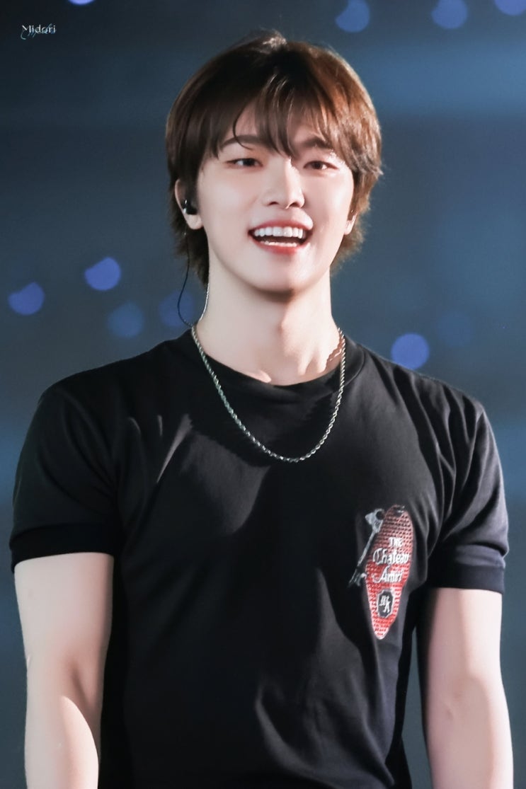 세븐틴 디노 2026년 5월 2주차 스케줄 모음