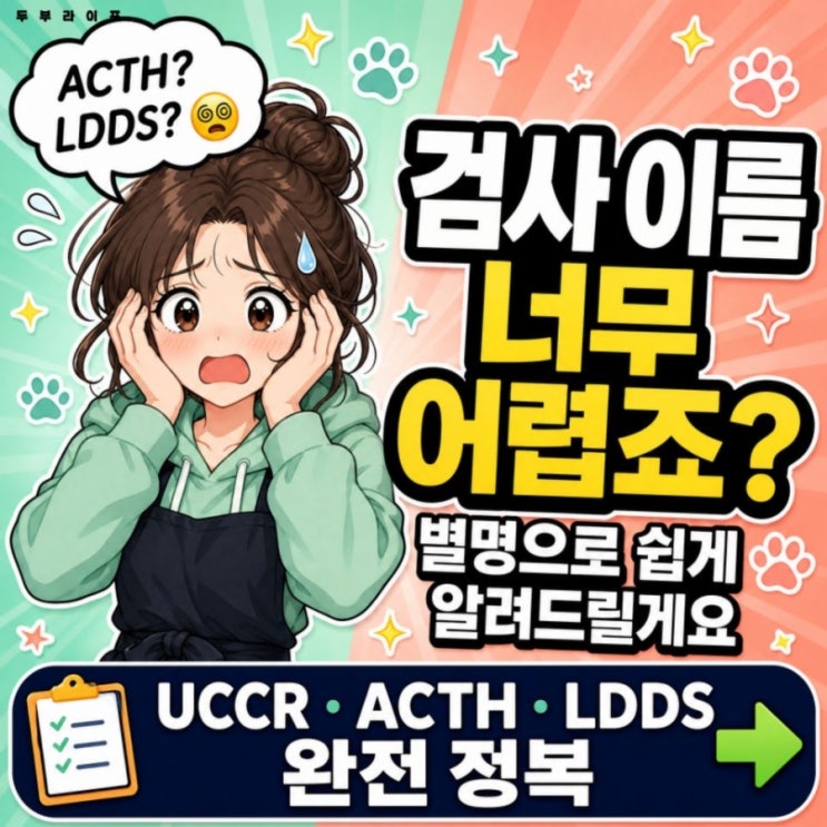 강아지 쿠싱증후군 검사 4단계, ACTH · LDDS · UCCR 한 번에 정리했어요 : 네이버 블로그