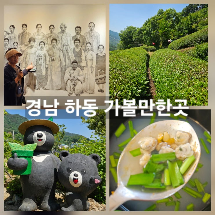 경남 하동 뚜벅이여행 아이와 가볼만한곳 | 화개장터 녹차밭 최참판댁 쌍계사 따신골 송림공원