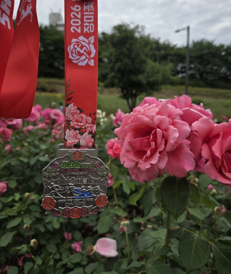 2026 안양천 장미꽃축제 마라톤 참가 후기, 안양천 장미원 실시간 (2026.05.23)