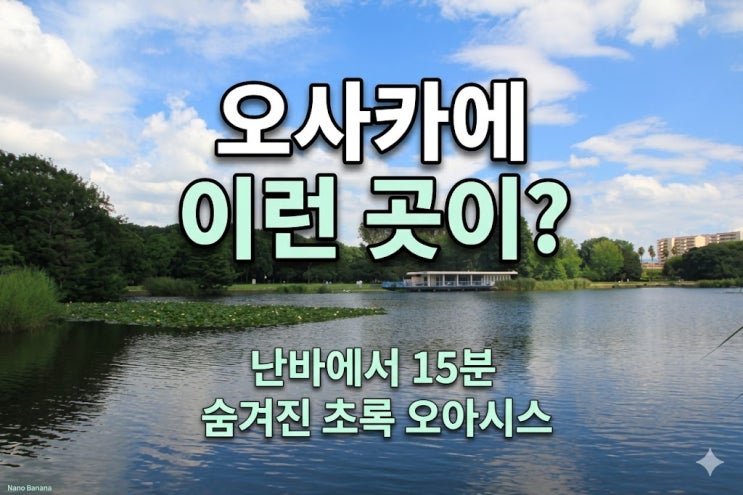 [오사카 여행] 오사카 도심 속 거대한 호수 정원, 나가이 공원 식물....