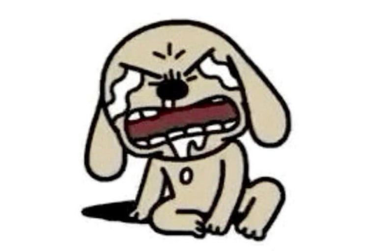 오슬아랑양정원이랑사귀는것에대해동의하는사람