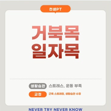 거북목, 일자목 네이버 블로그 대표 이미지