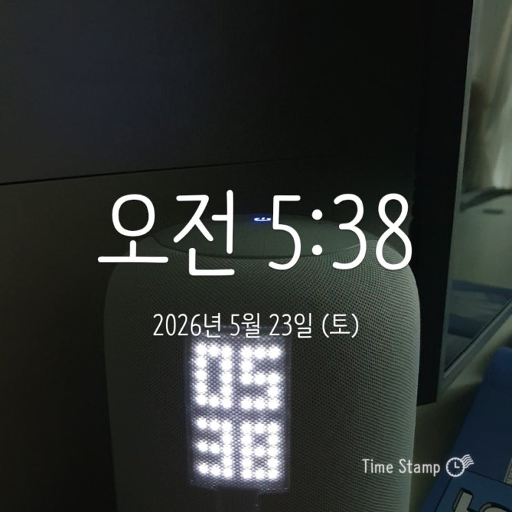 2026 안양천 장미꽃 마라톤 후기(with 201번째 미라클 모닝)
