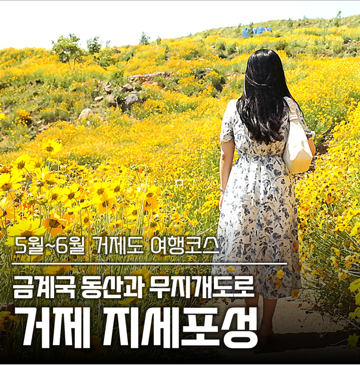 선창마을회관 방문 사진