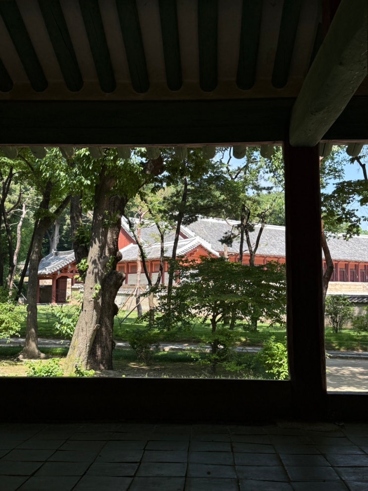 seoul | 우리는 서로의 꿈을 무시하지말자 • SJF