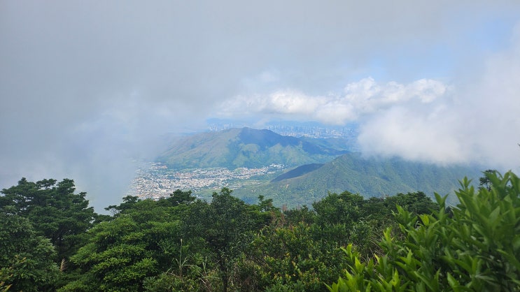 홍콩 제1봉 : 대모산, Tai Mo Shan(大帽山)