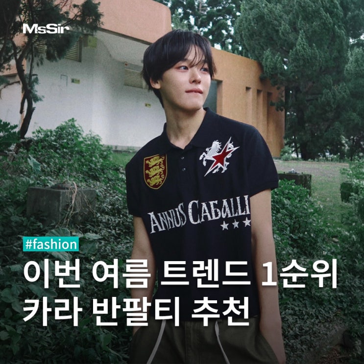 [엔시티 위시 리쿠, 보넥도 운학 카라 반팔티 정보] 이번 여름...