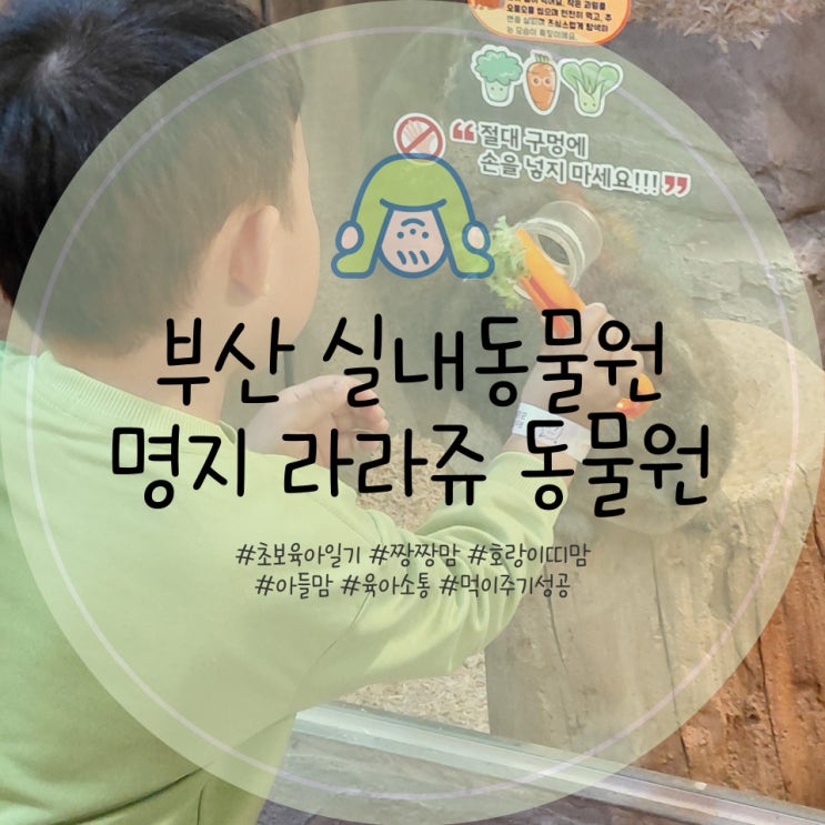 부산 실내 동물원 아이랑 가볼만한곳 강서구 명지 라라쥬...