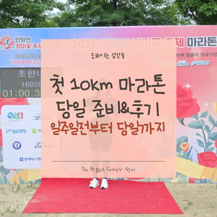 [10km 마라톤] 생애 첫 마라톤 완주 후기! 목표 1시간 달성과 당일 꿀팁 (2026 안양천 장미 마라톤)