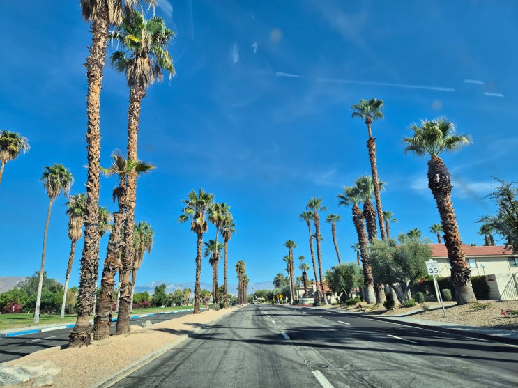 팜스프링스(Palm Springs)~라스베가스(Las Vegas)