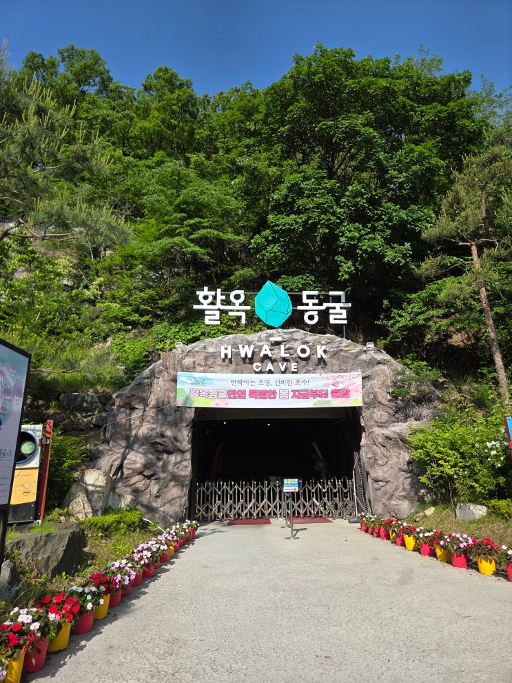 서울 근교 충주 당일치기 여행1｜활옥동굴 투명보트, 충주호 유람선 : 네이버 블로그