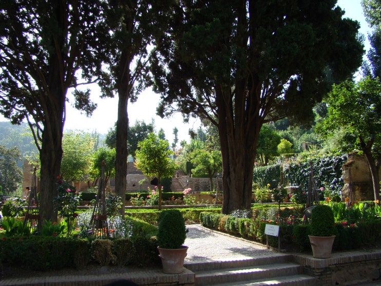 〔그라나다〕 파르탈 정원(Patio de Partal) - 알람브라 궁전(Alhambra)