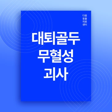 청주 외과 동물병원 강아지 다리 저는 이유, 대퇴골두무혈성괴사