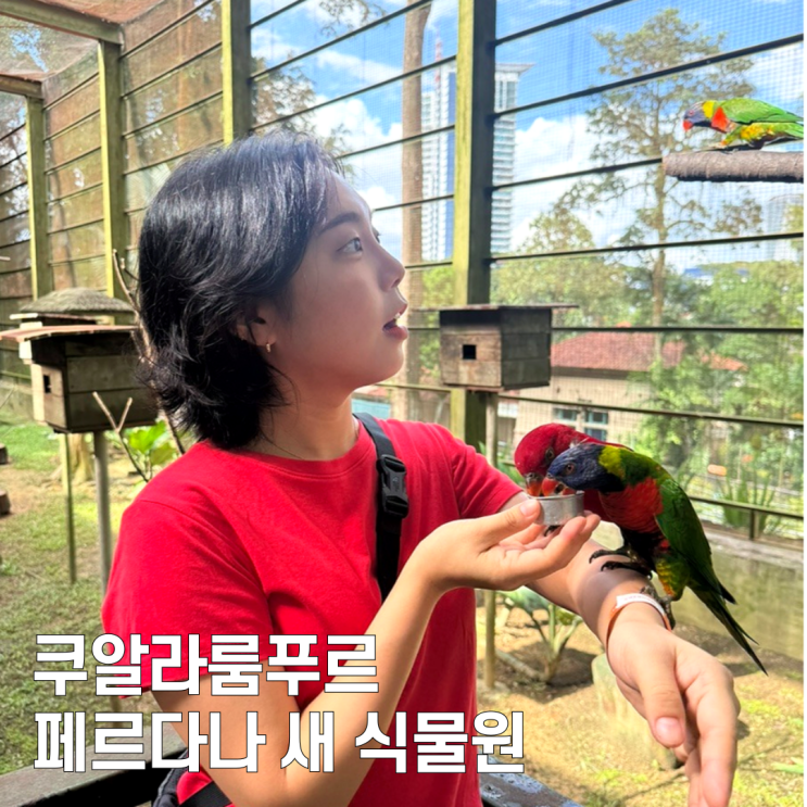 [말레이시아/쿠알라룸푸르]  페르다나 새 식물원 후기 및 가격, 너-....