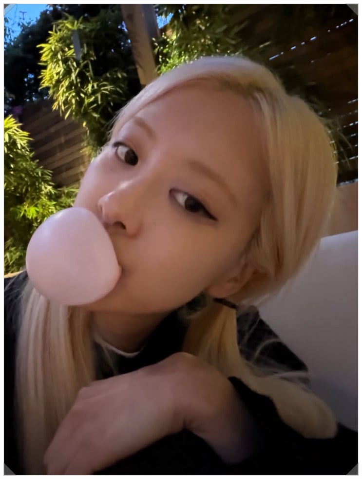 로제가 “동물 운”이라더니 진짜였음…고양이부터 거북이까지
