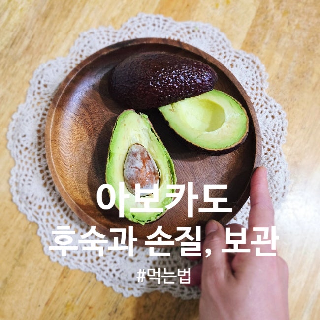 아보카도 먹는법 꿀팁 총정리! 후숙법 숙성과 손질법 냉장보관법 효능