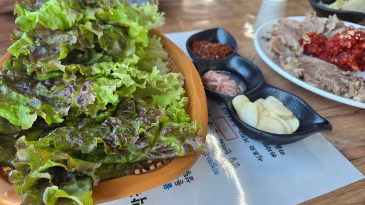 고성 당일치기 여행,  산북 소나무 막국수와 백섬전망대