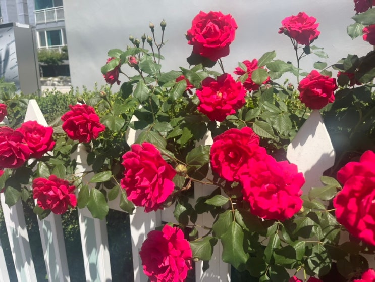 5月