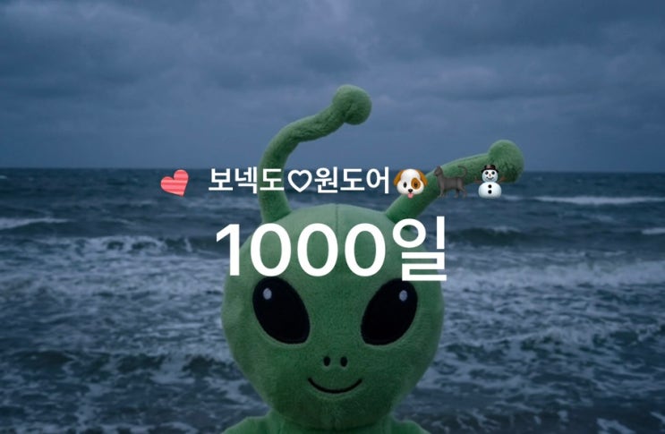 보넥도❤️ 1000일