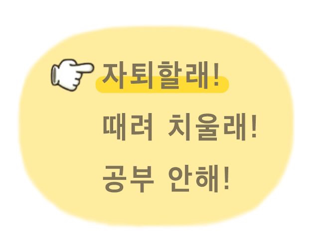 5월 블로그