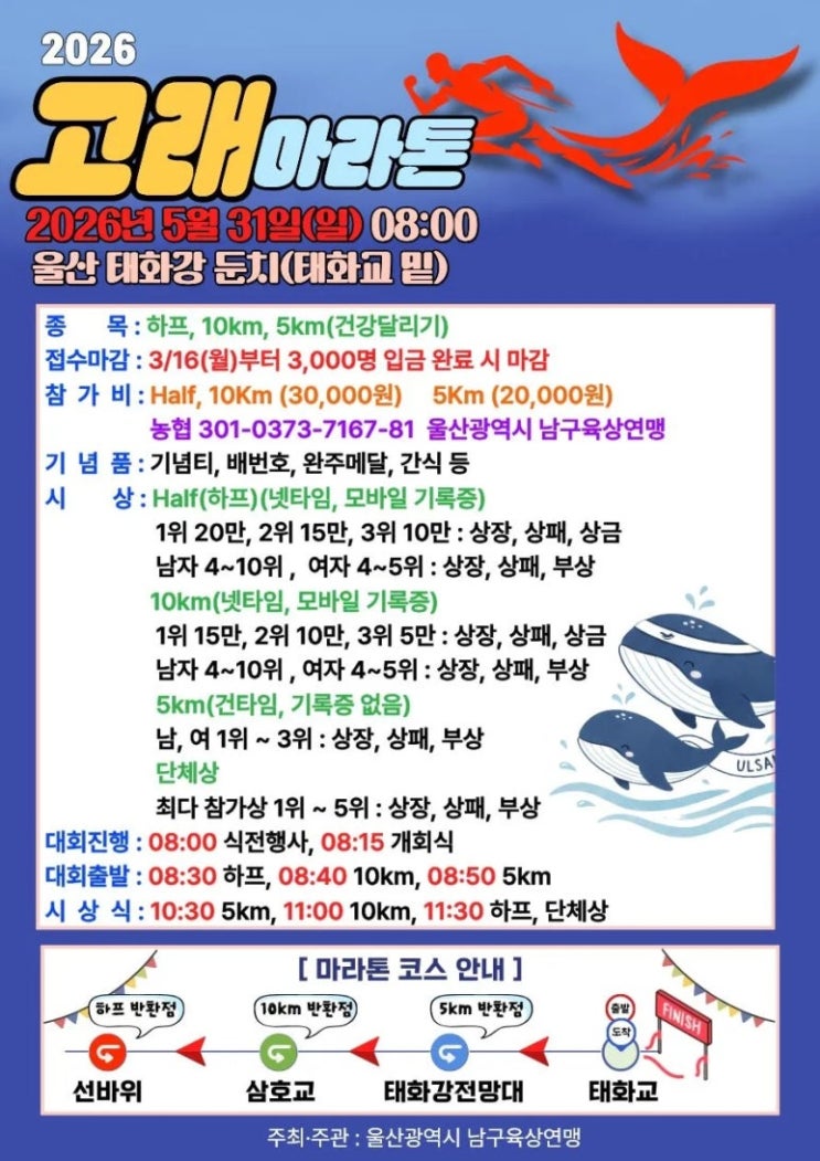 하프코스 3만원이 실화다, 2026 고래마라톤 가성비 완벽 분석