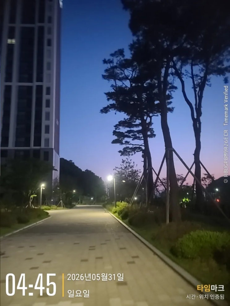 주말 기록하기 / 제 4회 밤섬마라톤대회 하프마라톤 첫 완주 후기(20260531)