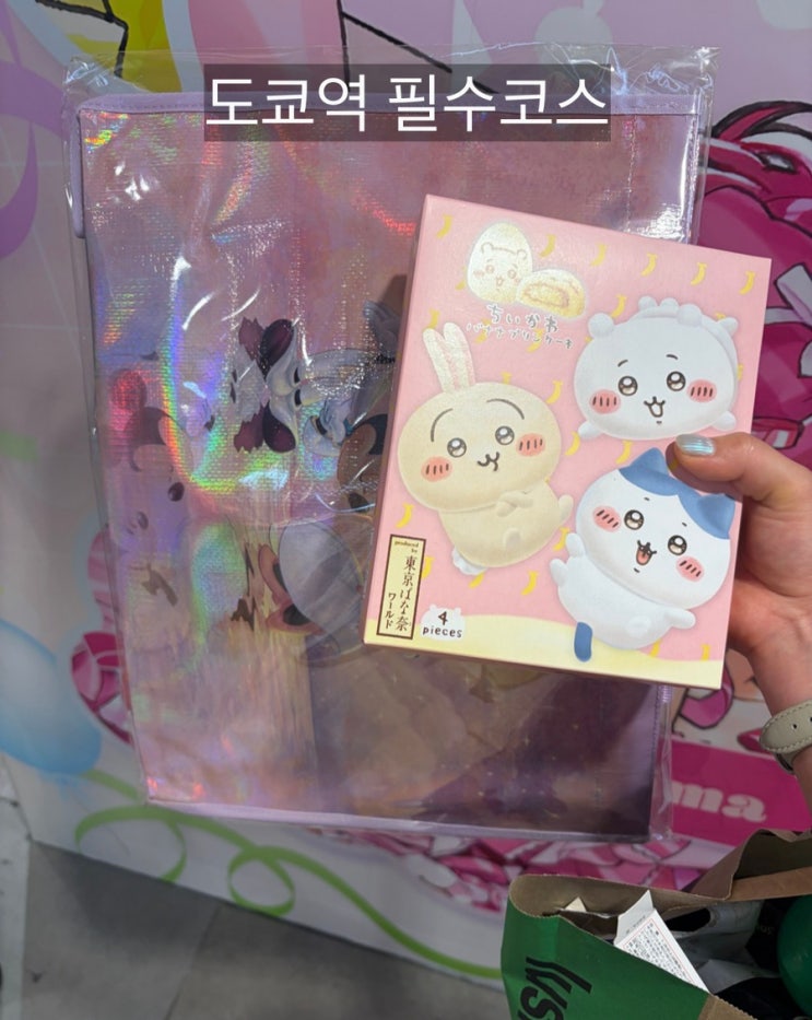 도쿄역 캐릭터 스트리트 후기｜치이카와·산리오샵 구경하다 시간 ....