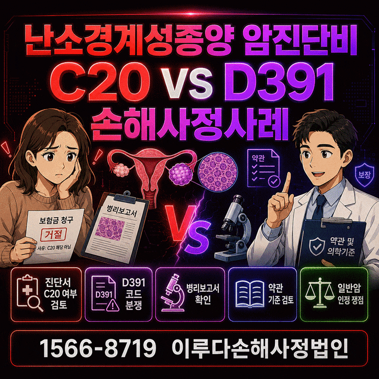 난소경계성종양 암진단비 코드와 가입시기에 따른 분쟁, 포기하는 순간 기회를 놓칩니다 : 네이버 블로그