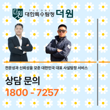 탐정법을 찾아보다가 탐정사무소 합법 기준이 어떻게 구성되는지 이해하게 된 과정