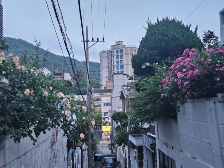 🎋예수를 바라보라 : 네이버 블로그