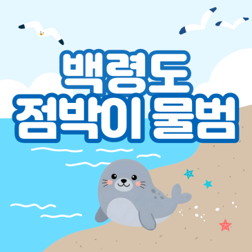 천연기념물 제331호, 백령도 앞바다를 찾아오는 점박이물범의 생태와 비밀