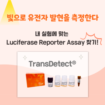 w23_TG_Luciferase_blog.png?type=s3