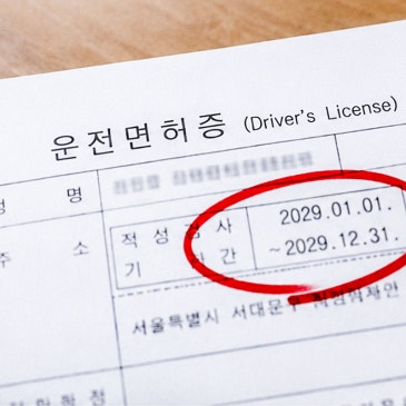 '이것' 방치하다 큰일납니다! 매년 6만 명씩 면허 취소 당하는 이유