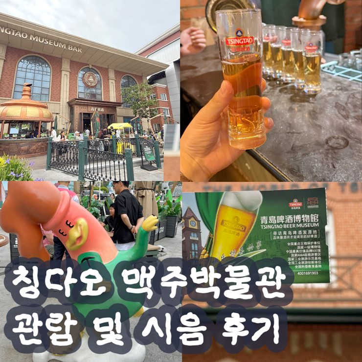 칭다오 맥주박물관 현장구매고덕지도 기념품 임산부