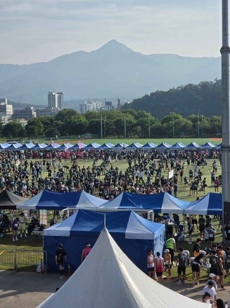 2026 양평이봉주마라톤 하프 후기