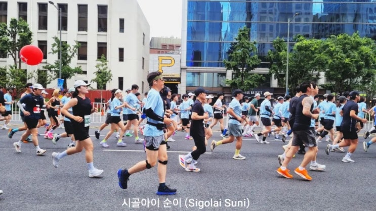 「서울광장 마인드 마라톤 하프 완주 후기 | 21.0975km를 달린 남편의 도전 이야기」