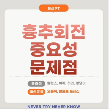 흉추회전의 중요성 문제점 네이버 블로그 대표 이미지