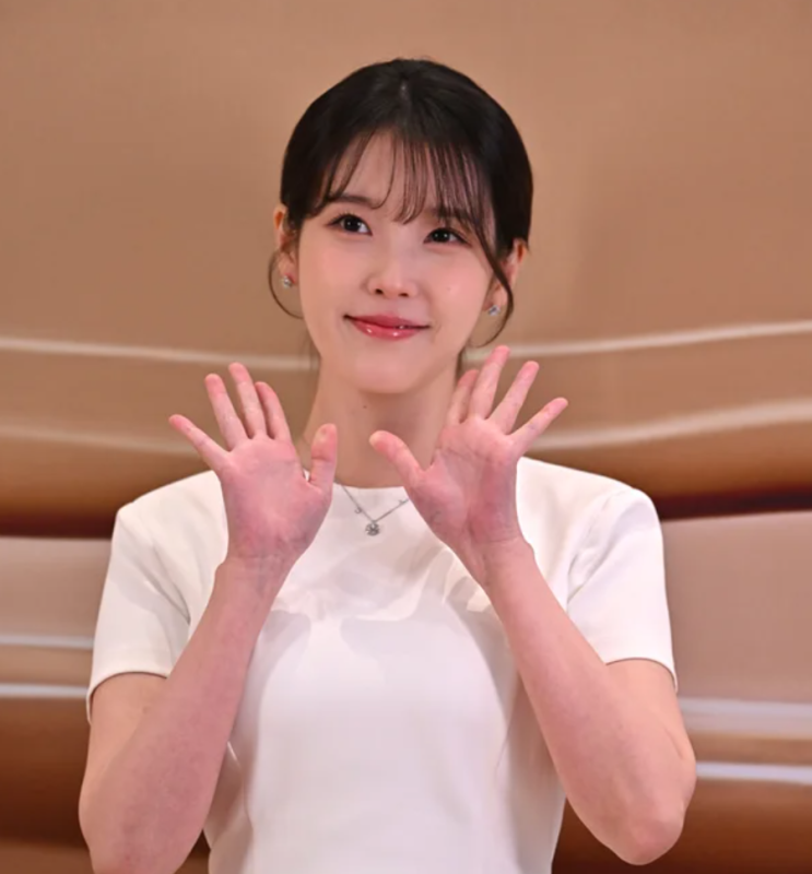 "아이유를 정쟁의 도구로 삼지 말라"… 팬덤, '지방선거...