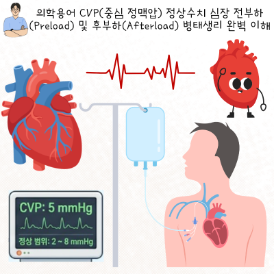 의학용어 CVP(중심 정맥압) 정상수치 심장 전부하(Preload) 및 후부하(Afterload) 병태생리 완벽 이해 (ft ...