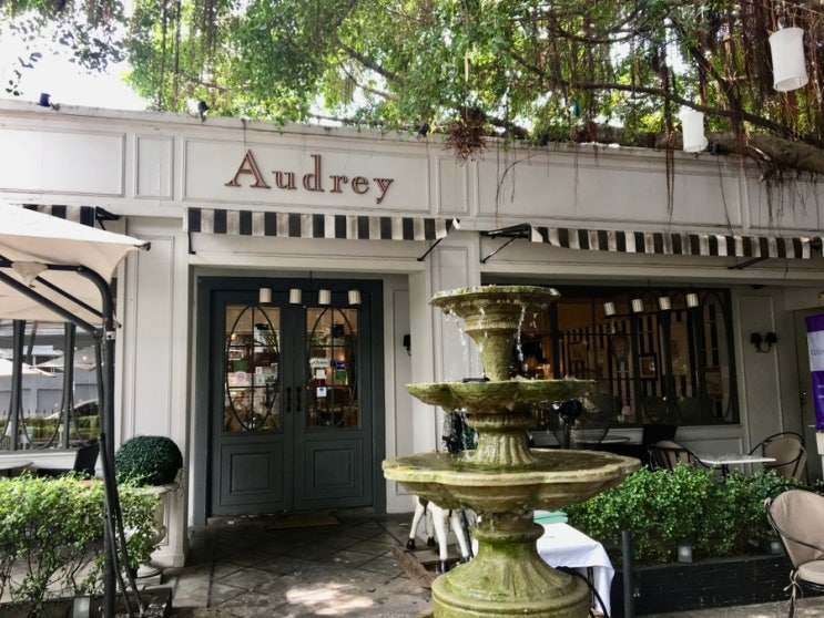 방콕카페 - Audrey, The commons, 망고탱고, 콘파이