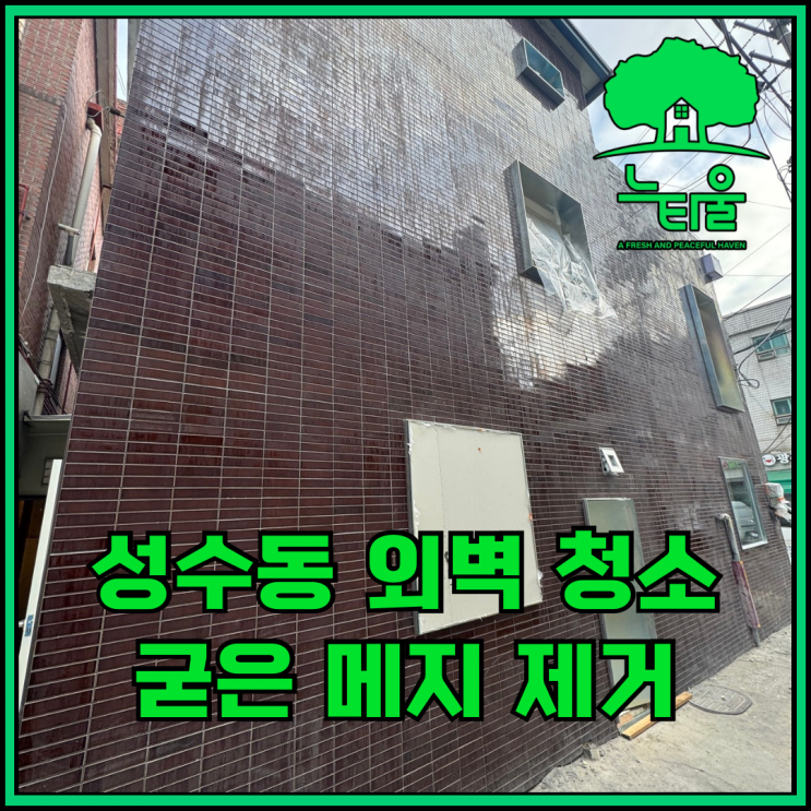 성동구 성수동 외벽 청소, 테라코타 타일 메지 제거 과정