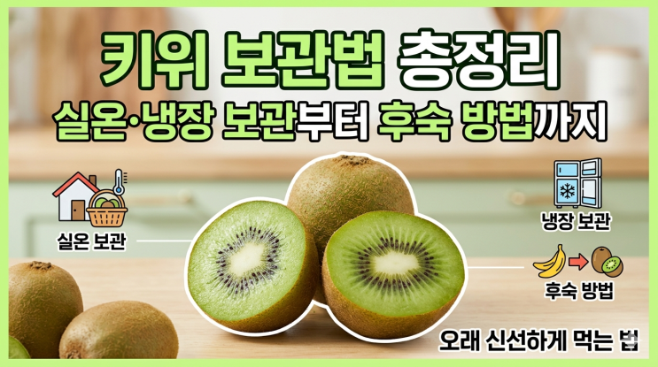 키위 보관법 총정리｜실온·냉장 보관부터 후숙 방법까지 오래 신선하게 먹는 법