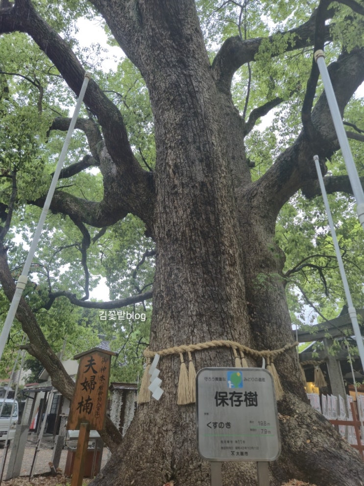 스미요시 신사 住吉大社 무료입장 오사카 가볼만한 곳