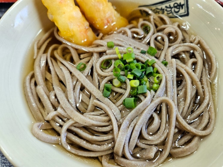 일본 대마도 여행 메밀소바 맛집 아가타노사토 방문후기
